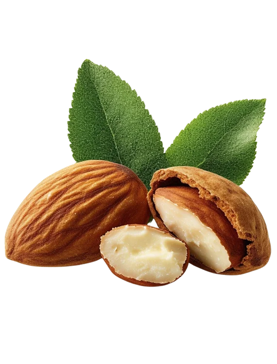 Argan Oil Manufacturers in Pennsylvania