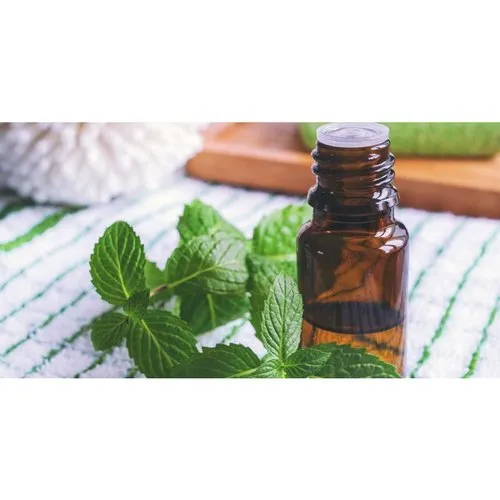 Peppermint Oil: Nature’s Cool Remedy for Health and Wellness