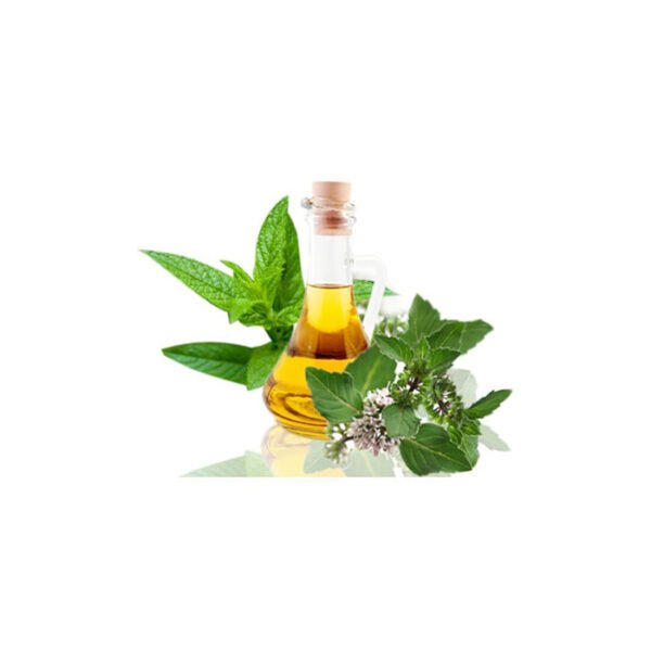 Mentha Arvensis Oil Manufacturers In Houston