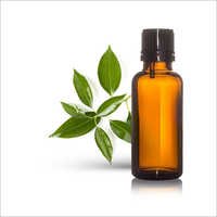 Natural Camphor Oil Manufacturers In Shamator