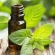 Natural Spearmint Oil